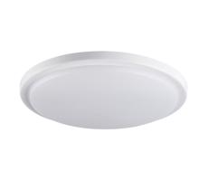 29161 - LED Plafon łazienkowy ORTE LED/24W/230V IP54