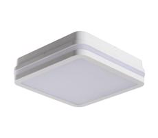 33346 - LED Oświetlenie zewnętrzne z czujnikiem BENO LED/24W/230V IP54 białe