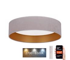 Brilagi - LED Ściemnialne oświetlenie VELVET SMART LED/24W/230V Wi-Fi Tuya + pilot