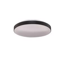 Briloner 3351-015 - LED Plafon łazienkowy MALBONA LED/13W/230V IP44