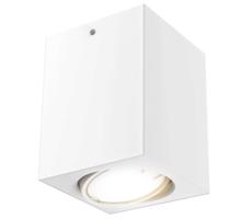 Briloner 7120-016 - LED Oświetlenie punktowe TUBE 1xGU10/5W/230V kanciasty