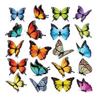 Dekoracja samoprzylepna Butterflies, 30 x 30 cm