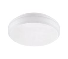 Emithor 63206 - LED Oświetlenie techniczne SURFACE 1xLED/20W/230V IP65