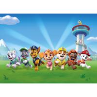 Fototapeta dziecięca Paw Patrol 252 x 182 cm, 4 części