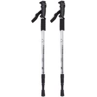 Kije do nordic walking antishock, srebrny