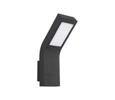 LED Kinkiet zewnętrzny SOY LED/10W/230V IP54 czarny