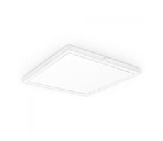 LED Panel natynkowy XELENT 60 LED/40W/230V 4000K IP40