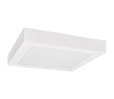 LED Plafon FENIX LED/12W/230V 3800K 17 cm śnieg biały