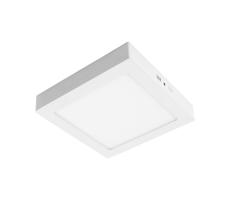 LED Plafon GERRY LED/24W/230V 3000K