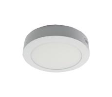 LED Plafon LED/12W/230V 6000K