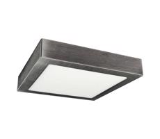 LED Plafon LED/18W/230V 3800K 22,5 cm