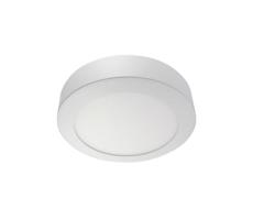 LED Plafon LED/24W/230V 4200K