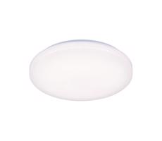 LED Plafon OPAL LED/24W/230V