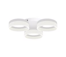 LED Plafon RING 3xLED/12W/230V białe