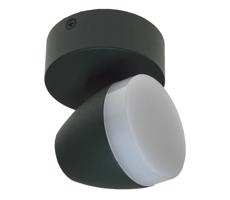 LED Plafon SURMUR LED/6W/230V zielony