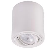 LED Spotlight TUBA 1xGU10/5W/230V 2700K biały