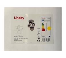 Lindby - Żyrandol na drążku ROBYN 2xE27/40W/230V + 2xE27/25W/230V