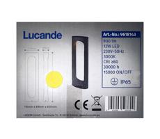 Lucande - LED Lampa zewnętrzna FENTI LED/12W/230V IP65