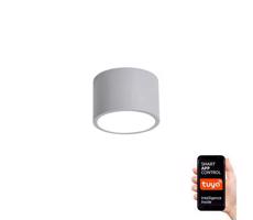 NEO 07143-GR15X - LED Ściemniana lampa RONDATE LED/12W/230V Tuya szary