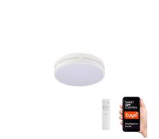 NEO 07153-W30 - LED Ściemniana lampa PERFECTO 24W/230V Wi-Fi Tuya + pilot