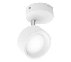 Philips - LED Oświetlenie punktowe BRACIA LED/5,5W/230V białe