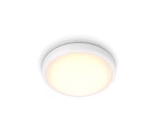 Philips - LED Plafon łazienkowy BALANCE LED/17W/230V IP44