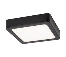 Rabalux 2693 - LED Plafon łazienkowy SHAUN LED/24W/230V 22 cm IP44