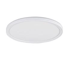 Rabalux 3428 - LED Plafon ściemnialny PAVEL LED/22W/230V