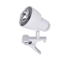 Rabalux 4356 - Lampa z klipsem CLIP 1xE14/40W/230V biały