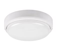 Rabalux 7406 - LED Plafon zewnętrzny HORT LED/15W/230V IP54 biały