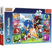 Trefl Puzzle Sonic Poznaj jeża, 100 elem.