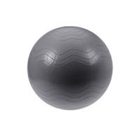 XQ Max Akcesorium do ćwiczenia Yoga Ball śr. 65 cm, srebrny, srebrny