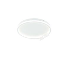 Zam 22015 - LED Plafon ściemnialny LED/71W/230V białe